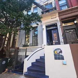 Macaw , New York United States